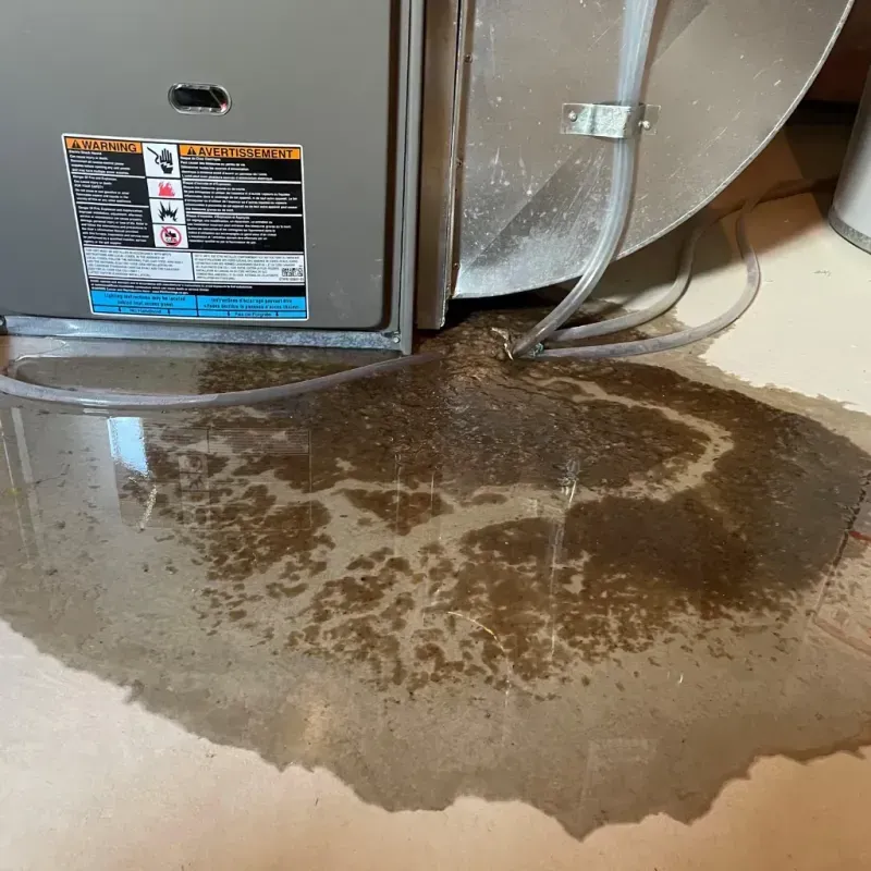 Appliance Leak Cleanup in Fort Wayne, IN