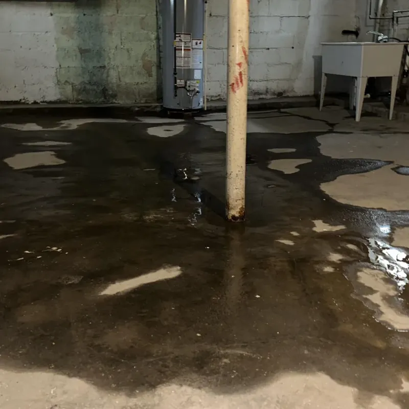 Emergency Water Extraction And Removal in Fort Wayne, IN